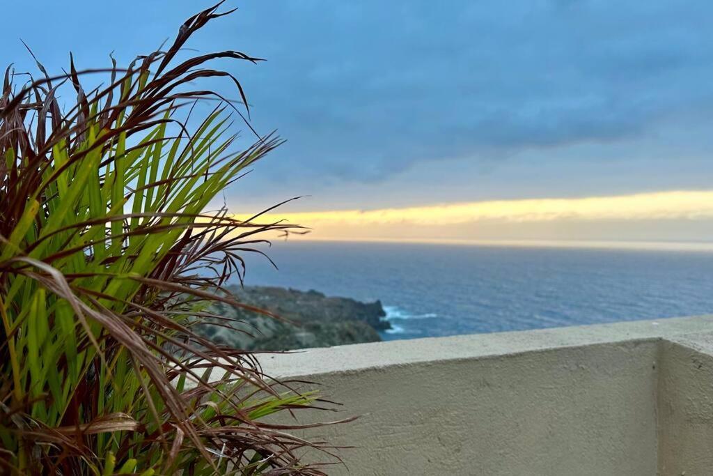 Peaceful Oasis With Magical Sea Views And A Pool Villa Santa Cruz de Tenerife Eksteriør bilde