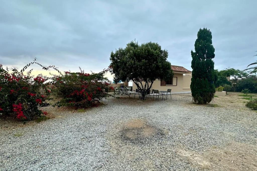 Peaceful Oasis With Magical Sea Views And A Pool Villa Santa Cruz de Tenerife Eksteriør bilde
